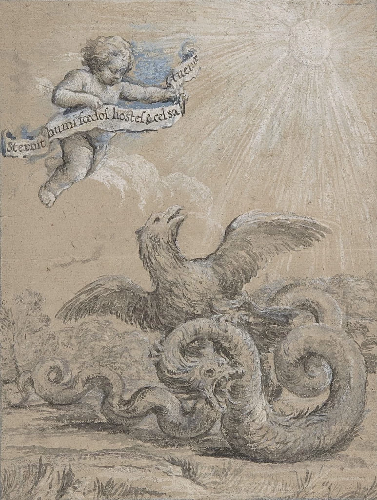 Studio di aquila che combatte un serpente